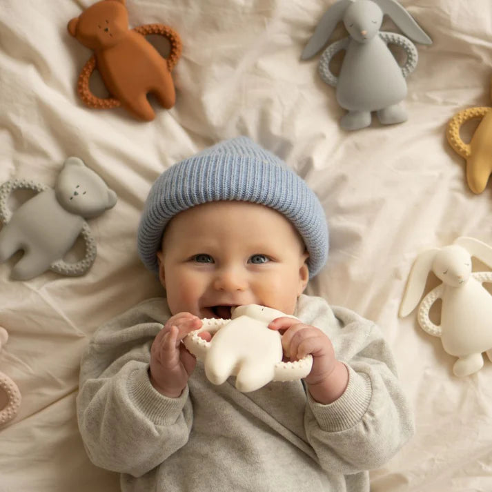 Anneau Dentition Ours Cappuccino