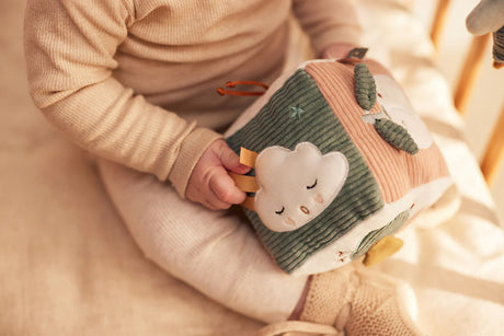 Cube d’éveil Lovely Birds