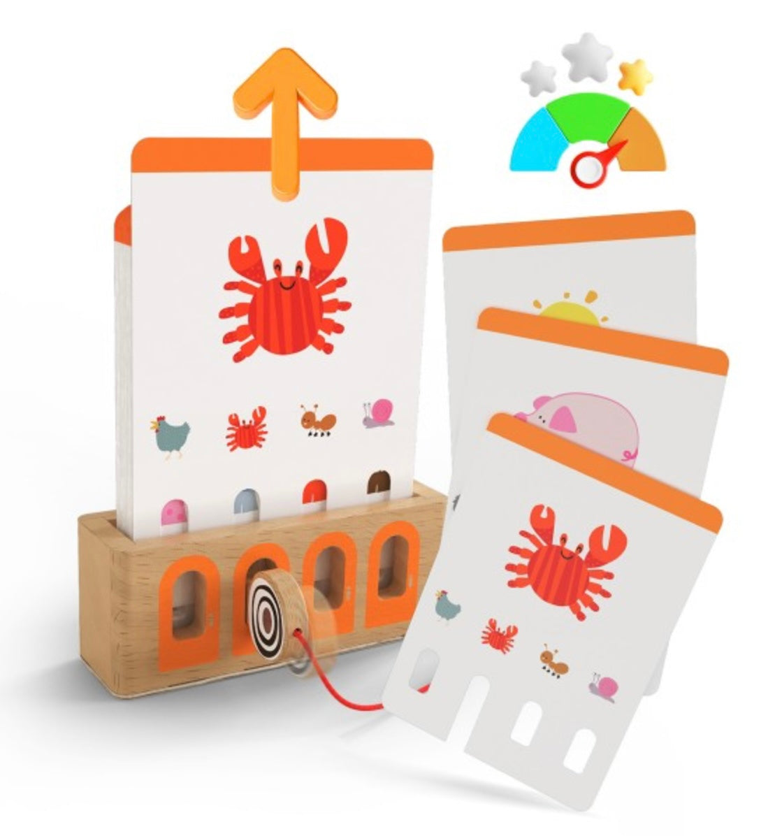 Jeu de la clé logique - Animaux