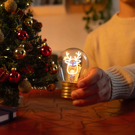Lampe Décorative - RENNE