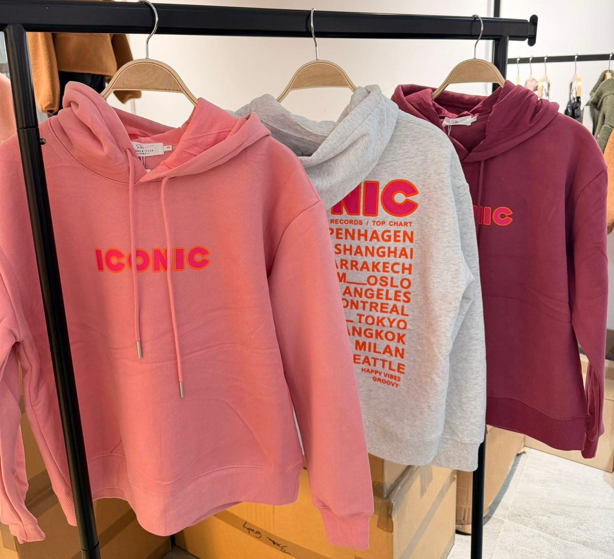 Sweat capuche ICONIC Bordeaux