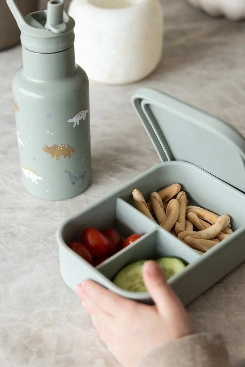 Gourde isotherme Dino