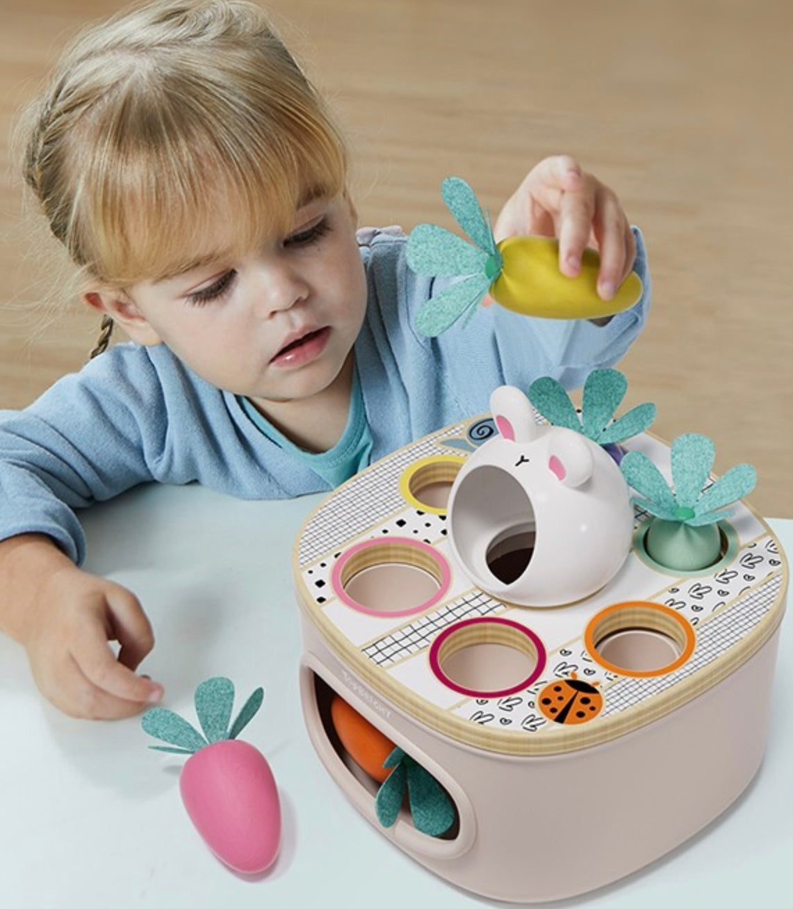 Jeu Trier les carottes - Réservé liste 2043024