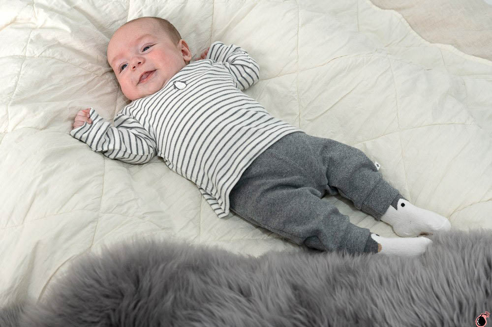 Pantalon Pingouin Gris