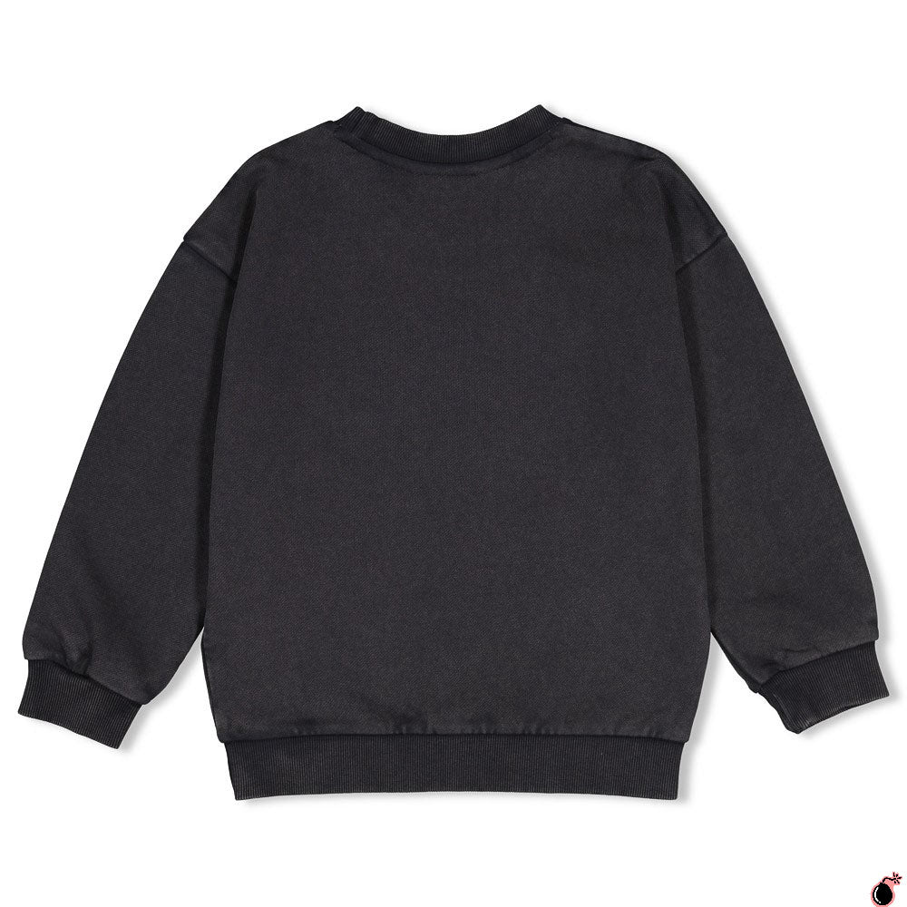 Sweat Montagne Gris