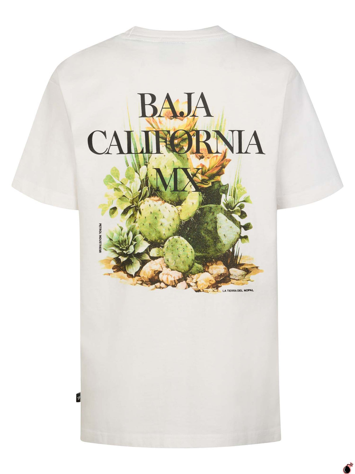 T shirt Everett Blanc