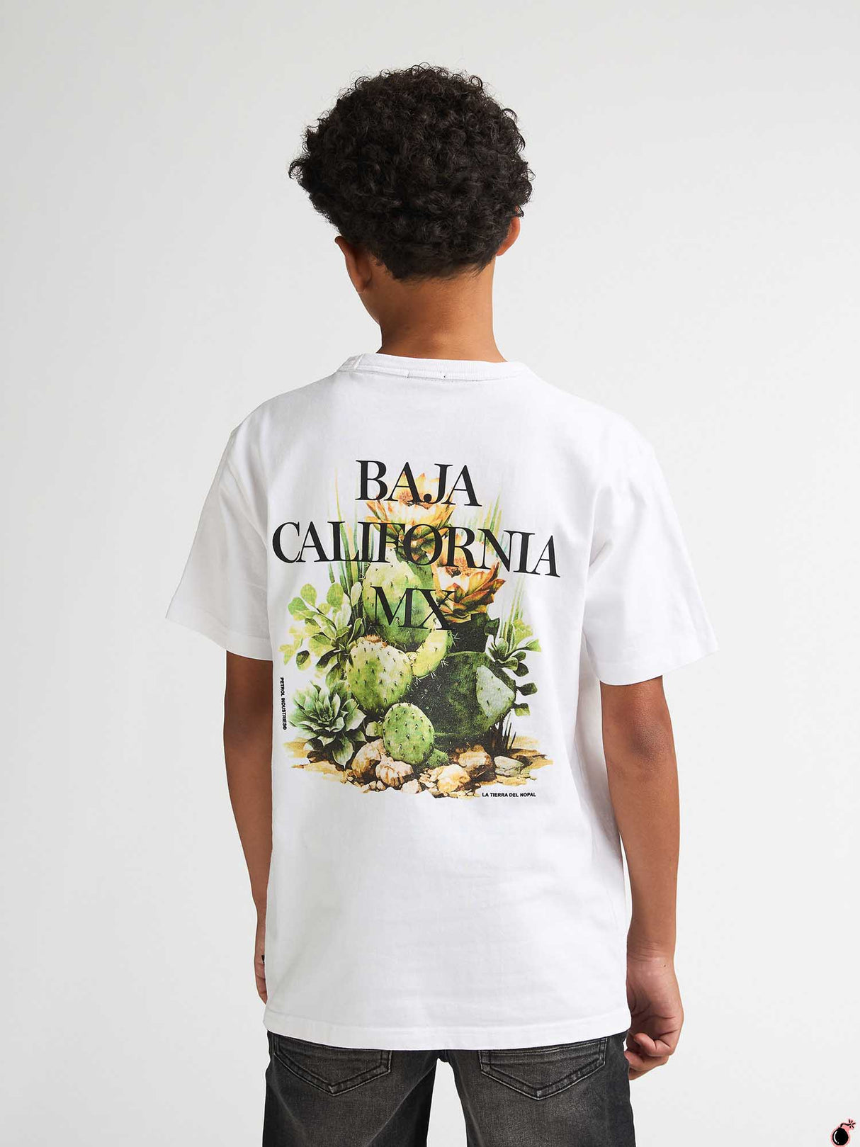 T shirt Everett Blanc