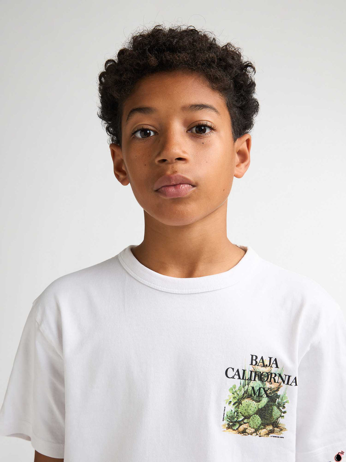 T shirt Everett Blanc