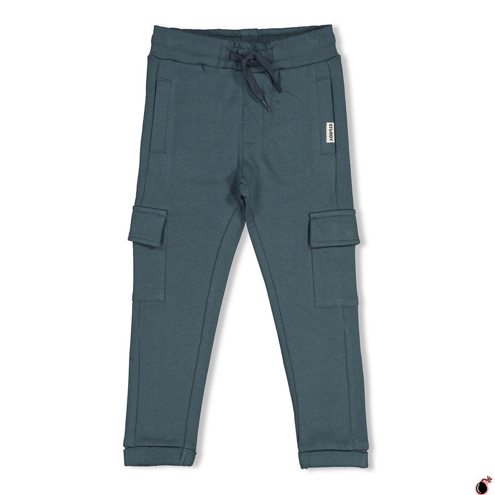 Pantalon Fix it Bleu