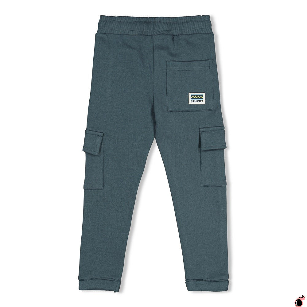 Pantalon Fix it Bleu