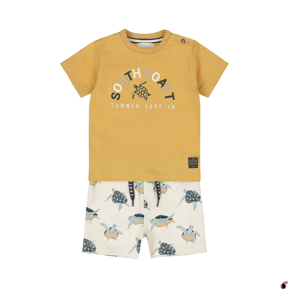 Ensemble Kasper Camel