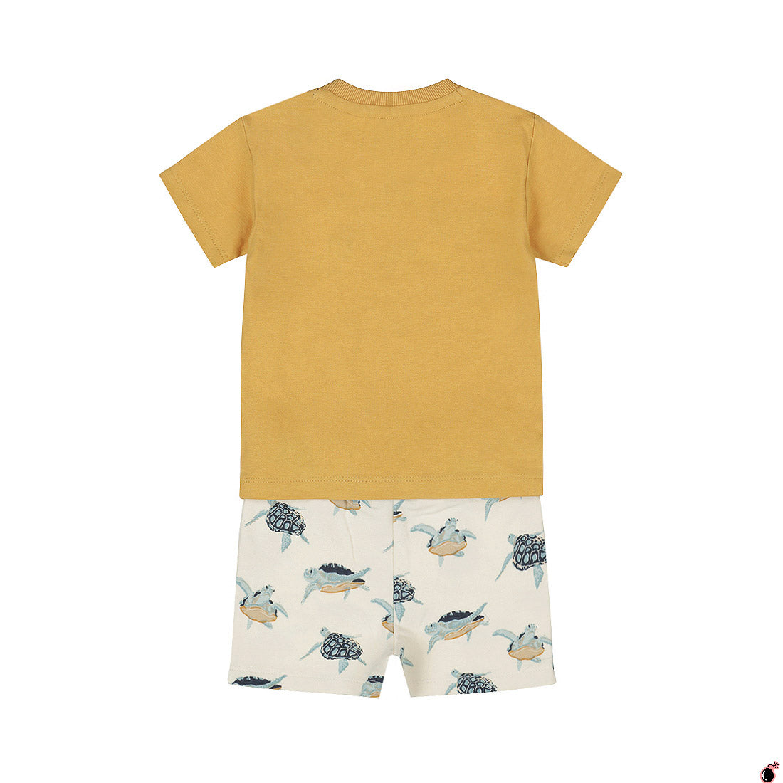 Ensemble Kasper Camel