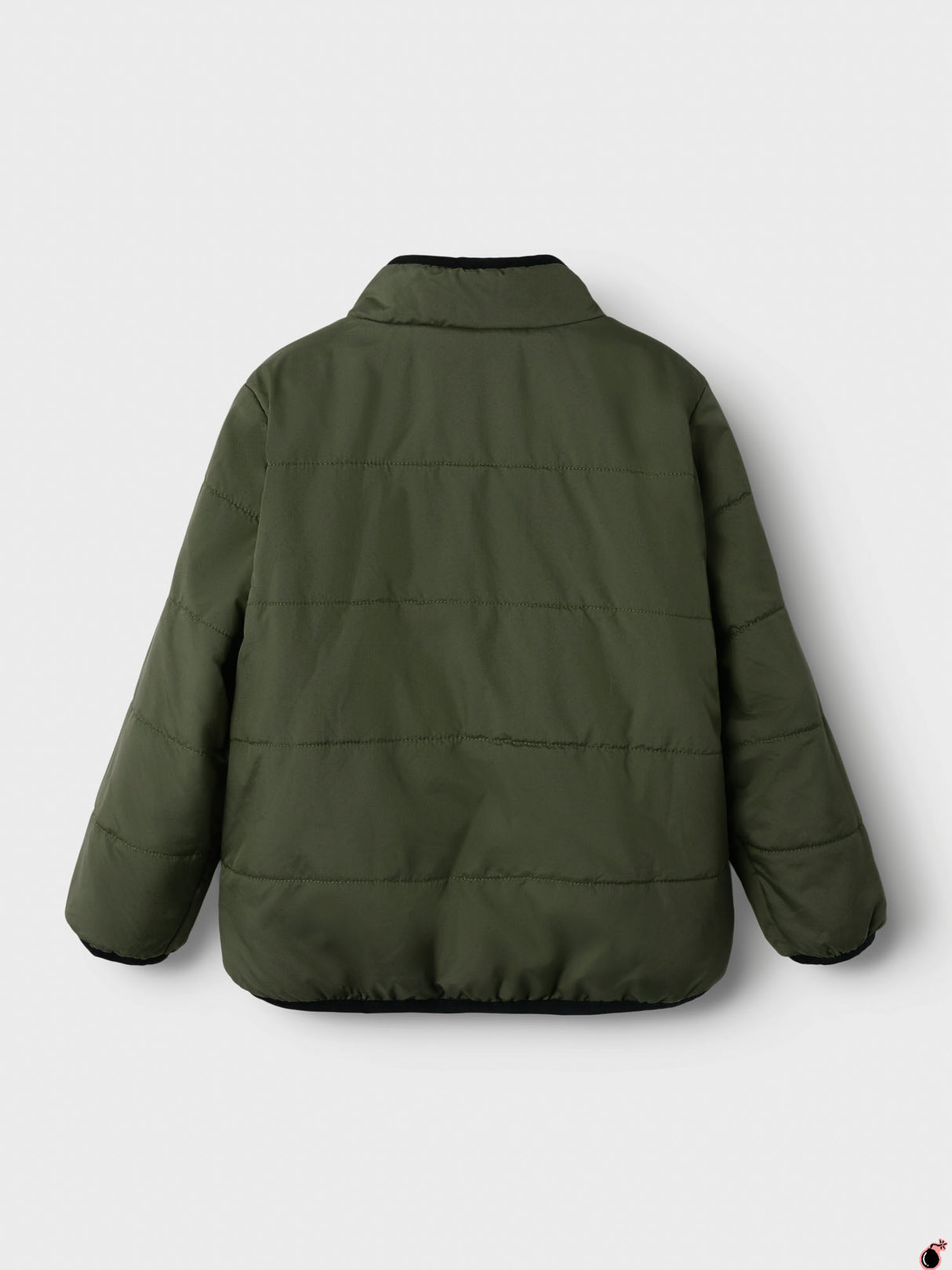 Veste MAGNUS Vert