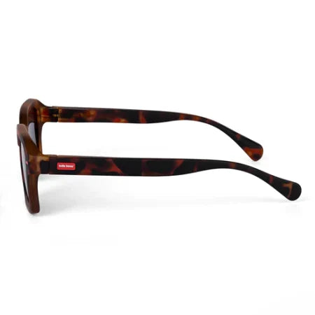 Lunettes de soleil MORZI CRAKY