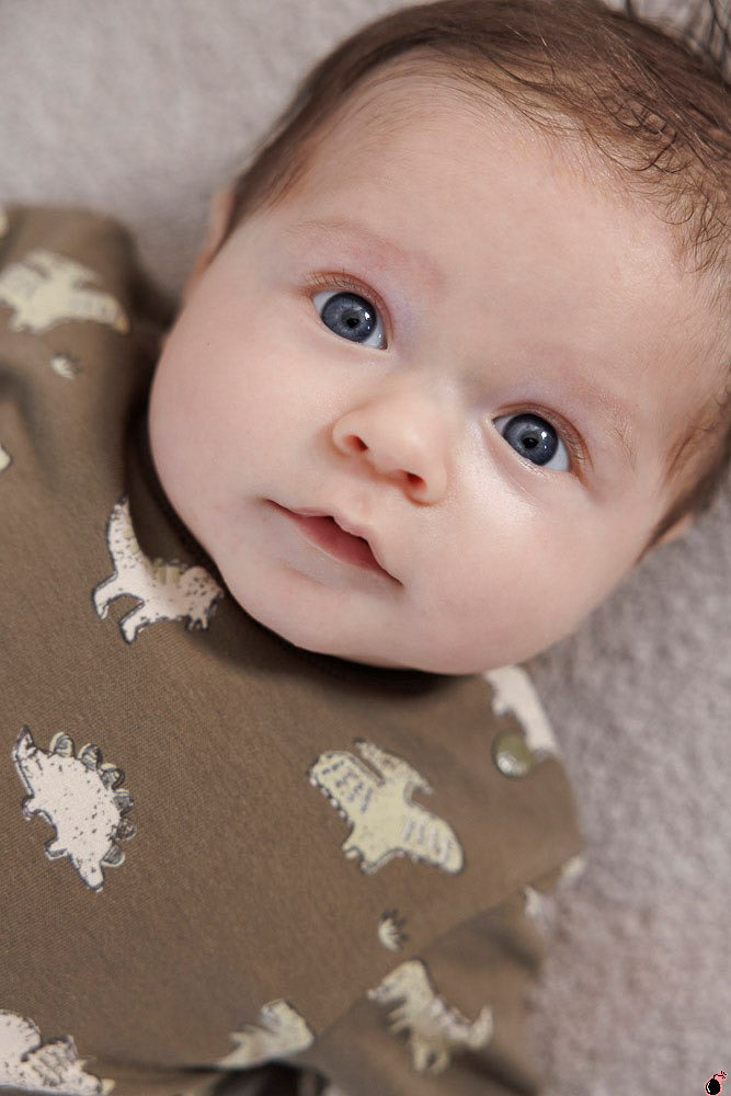 Sweat Rawrsome Olive