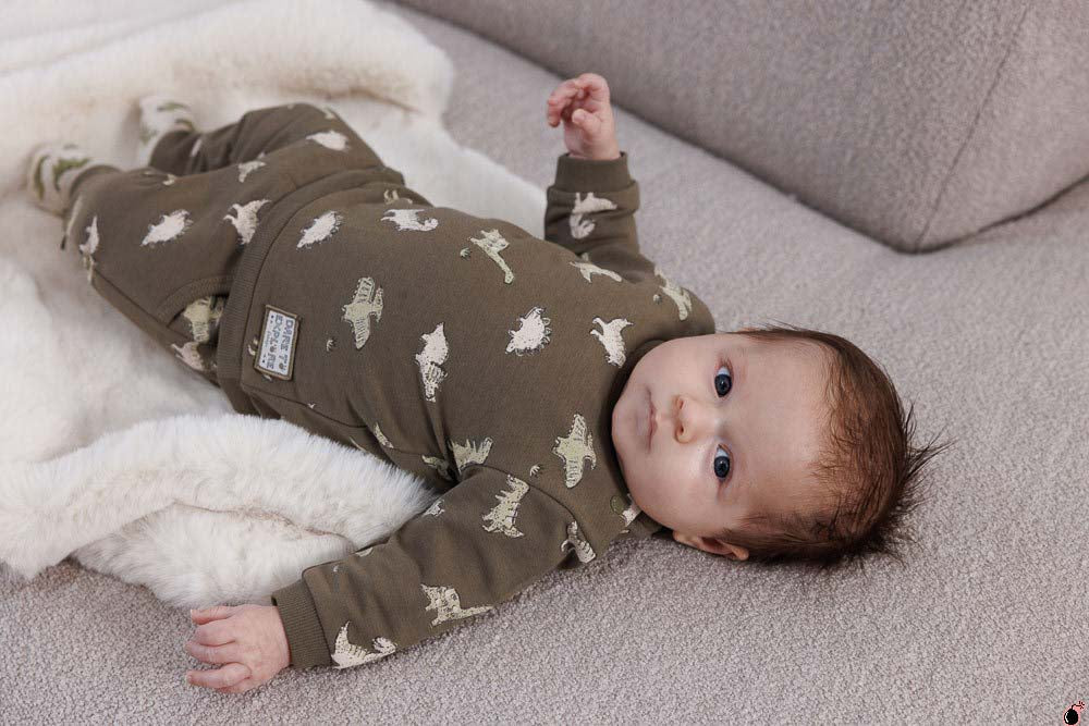 Sweat Rawrsome Olive