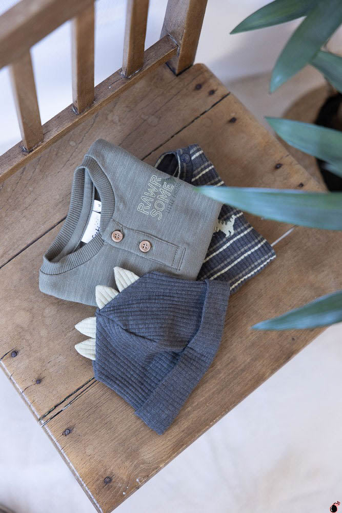 T shirt Rawrsome Olive