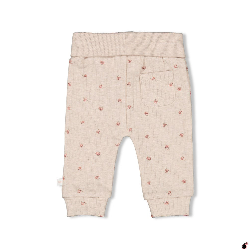 Pantalon Morning Taupe