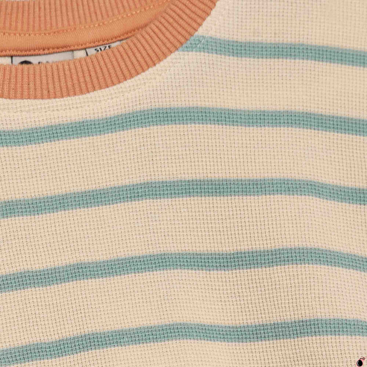 T shirt Rasmus Sable