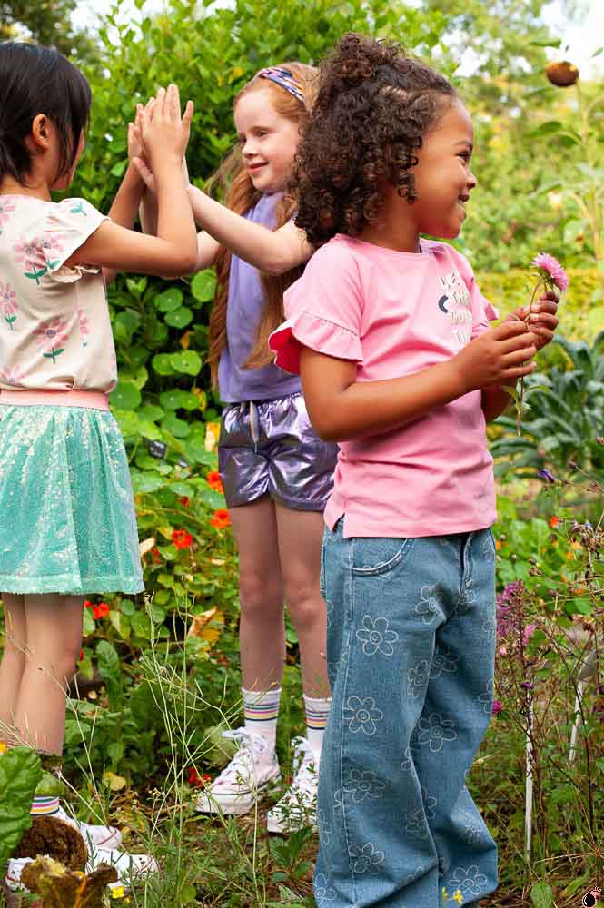 T shirt Rolling Rose