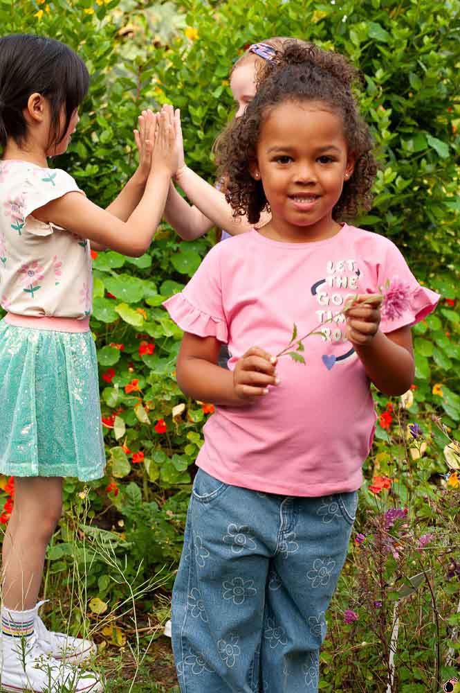 T shirt Rolling Rose