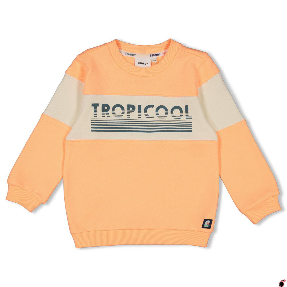 Sweat Lagoon Orange