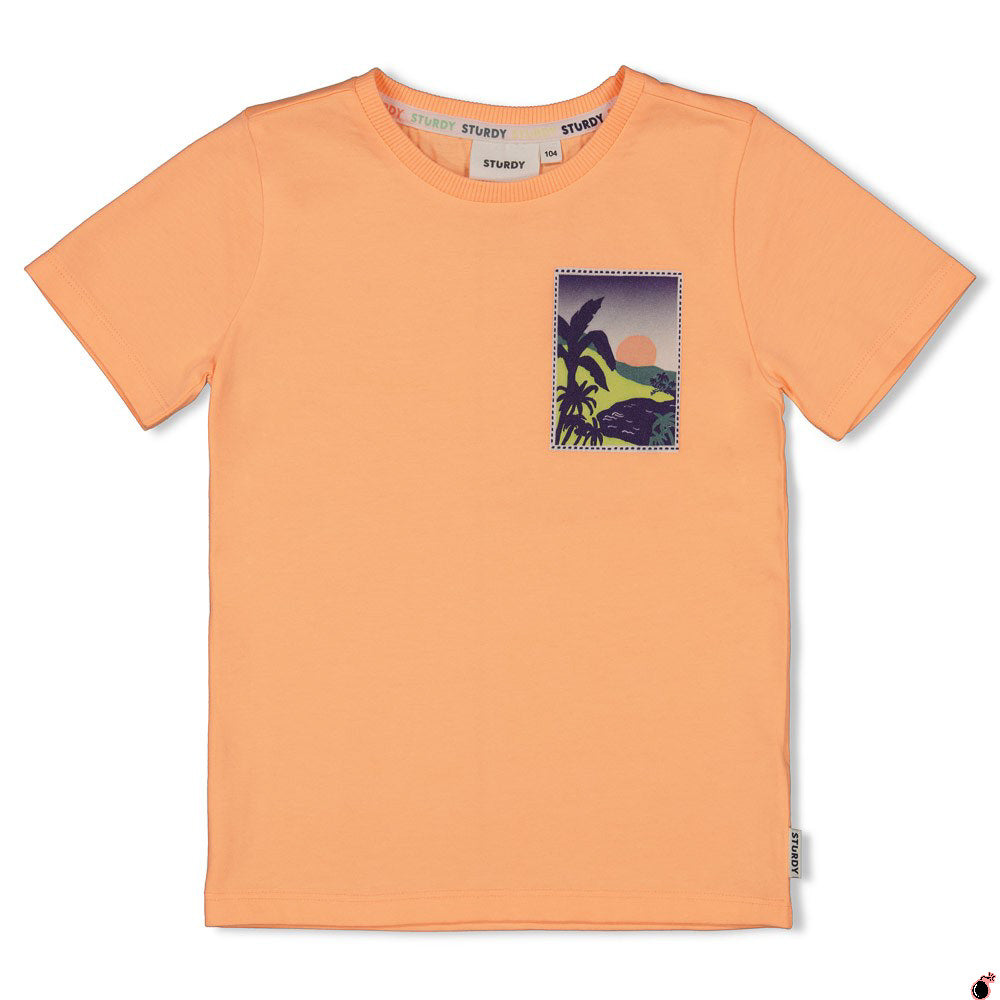 T shirt Lagoon Orange