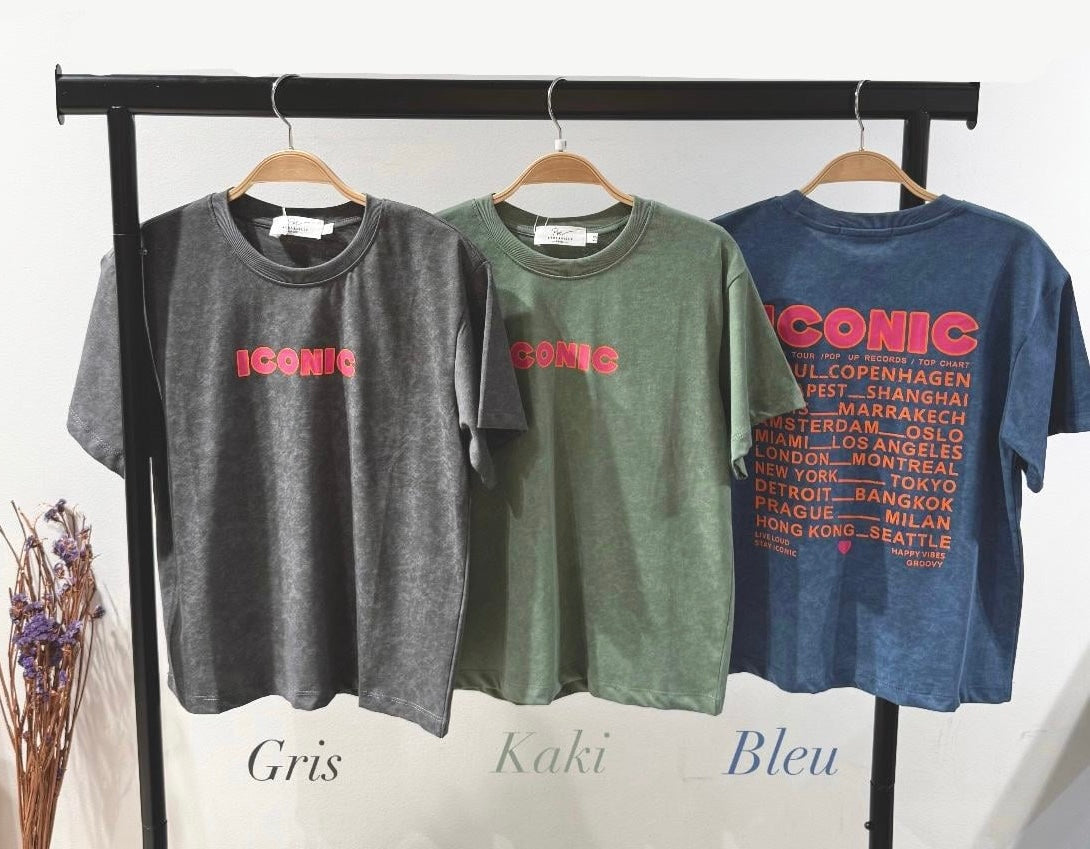 T-shirt ICONIC GRIS