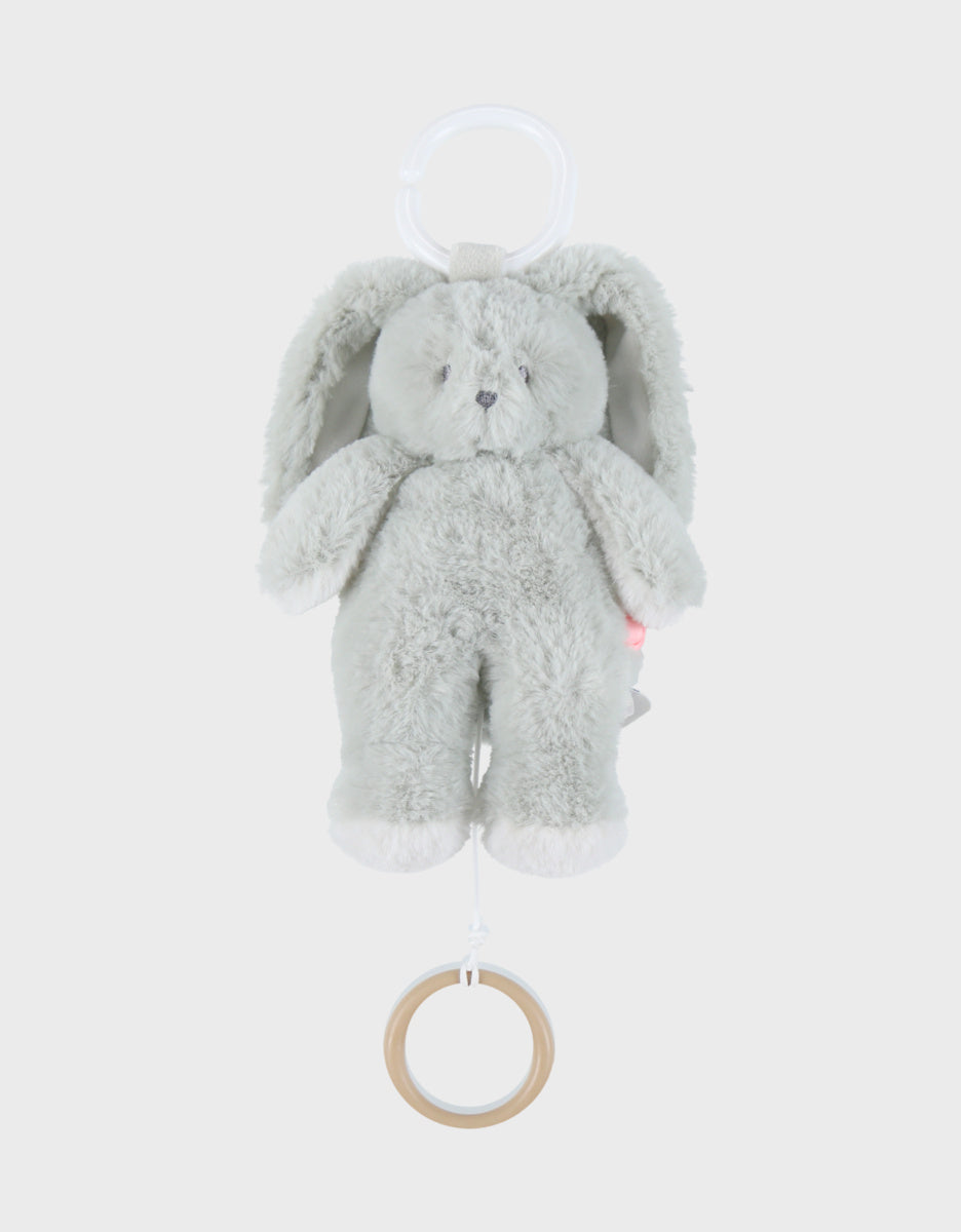 Peluche mini-musicale 20cm - Verdi