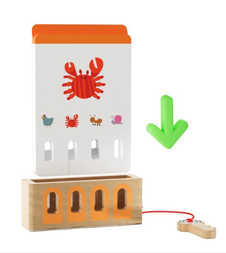 Jeu de la clé logique - Animaux