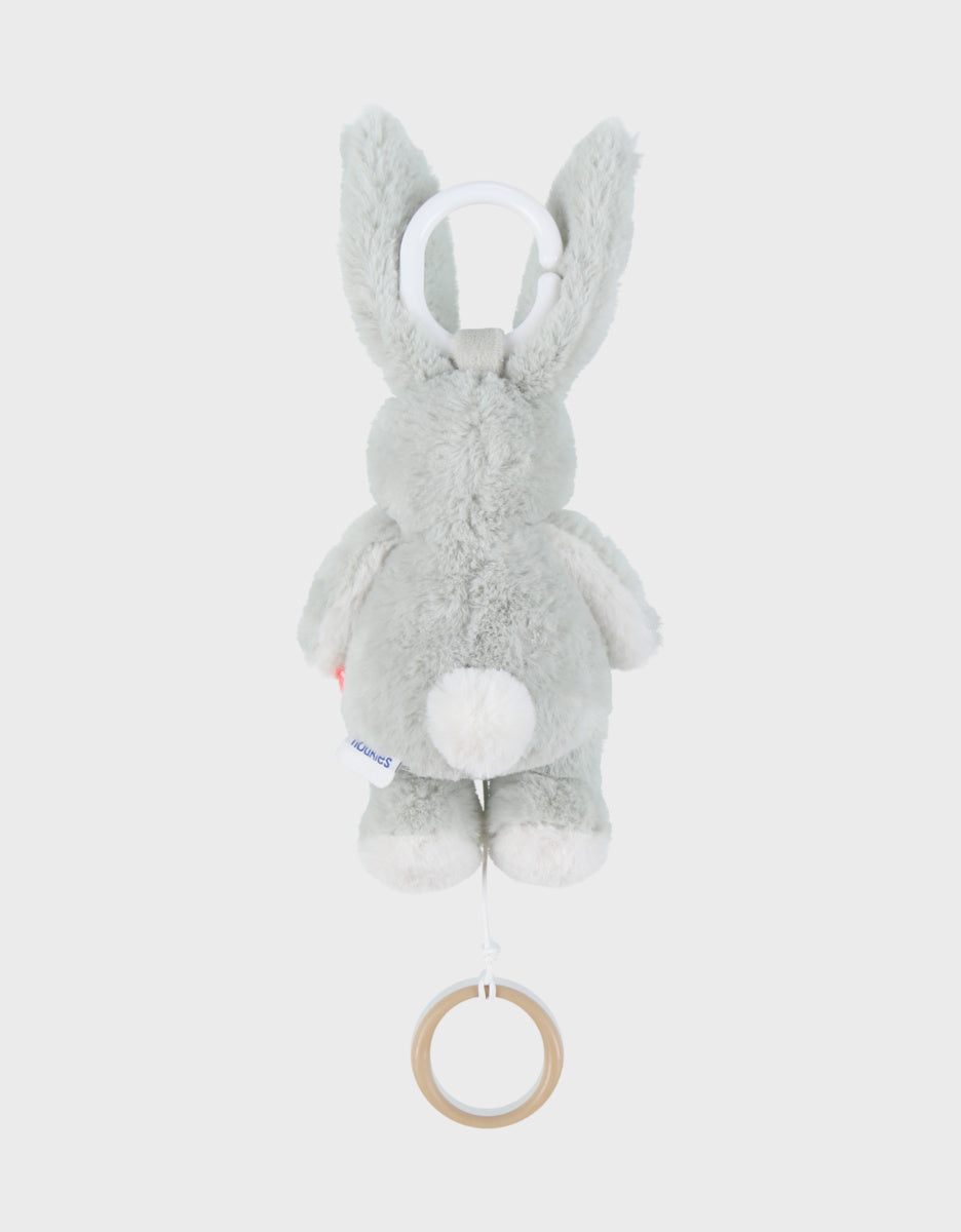 Peluche mini-musicale 20cm - Verdi