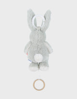 Peluche mini-musicale 20cm - Verdi