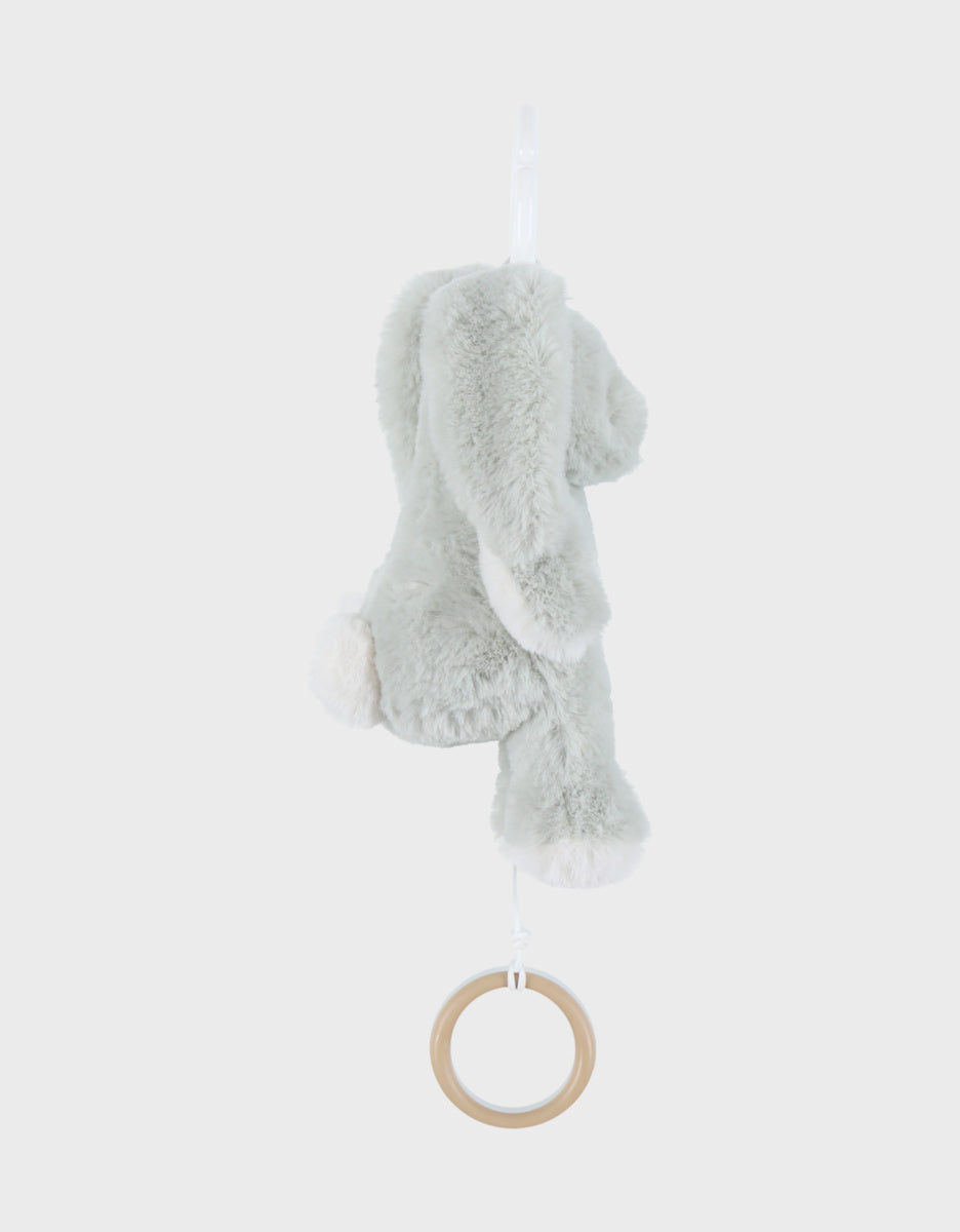 Peluche mini-musicale 20cm - Verdi