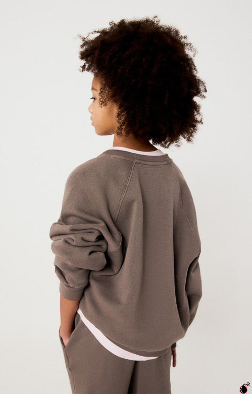 Sweat IZUBIRD Gris