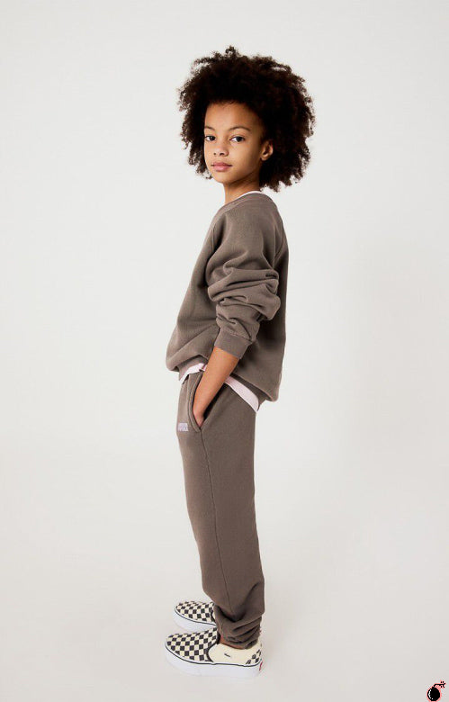 Sweat IZUBIRD Gris