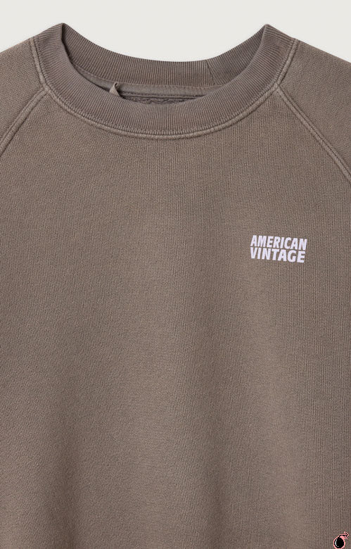 Sweat IZUBIRD Gris