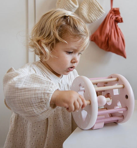 Roue trieuse de formes Pink