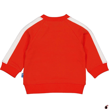Sweat Arjan Orange