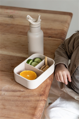 Boîte à tartine Ours