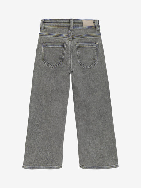 Pantalon Used Grey