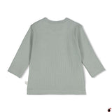 T shirt Pingouin Vert