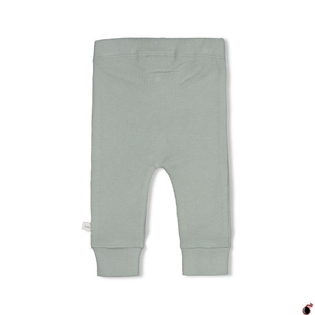 Pantalon Pingouin Vert