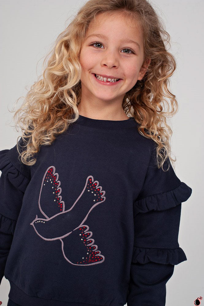 Sweat Princesse Bleu