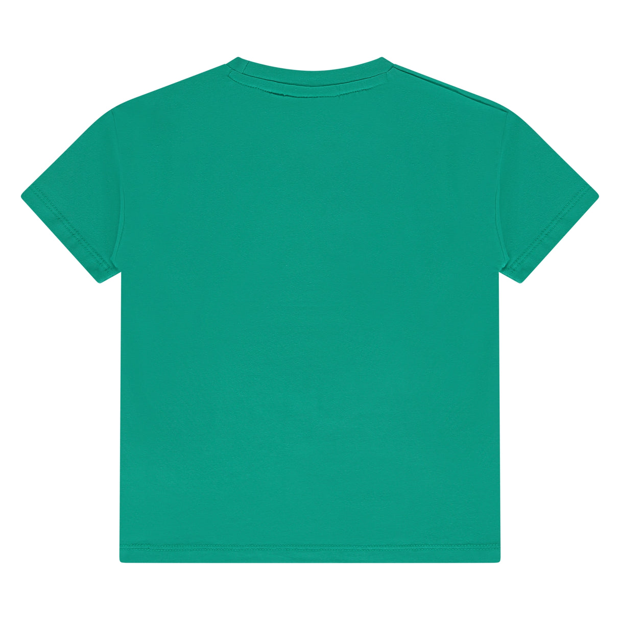 T shirt Paul Vert