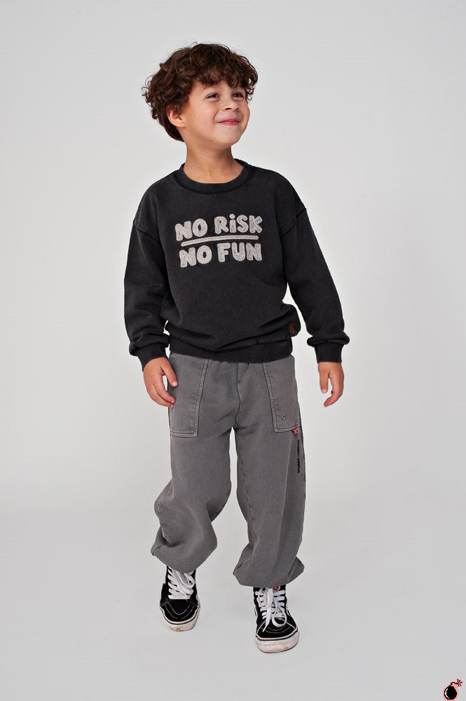 Sweat Montagne Gris