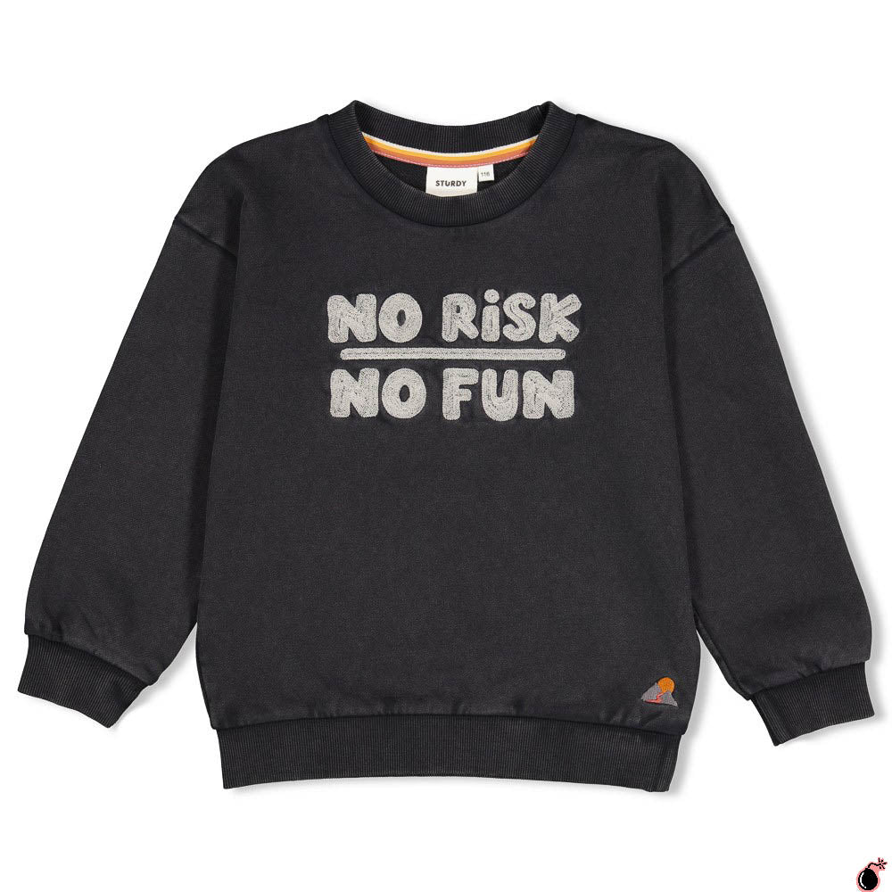 Sweat Montagne Gris