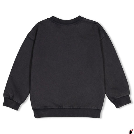 Sweat Montagne Gris