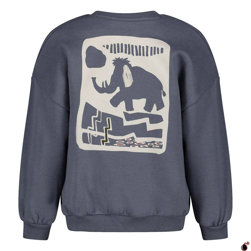 Sweat Rock Bleu