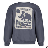 Sweat Rock Bleu