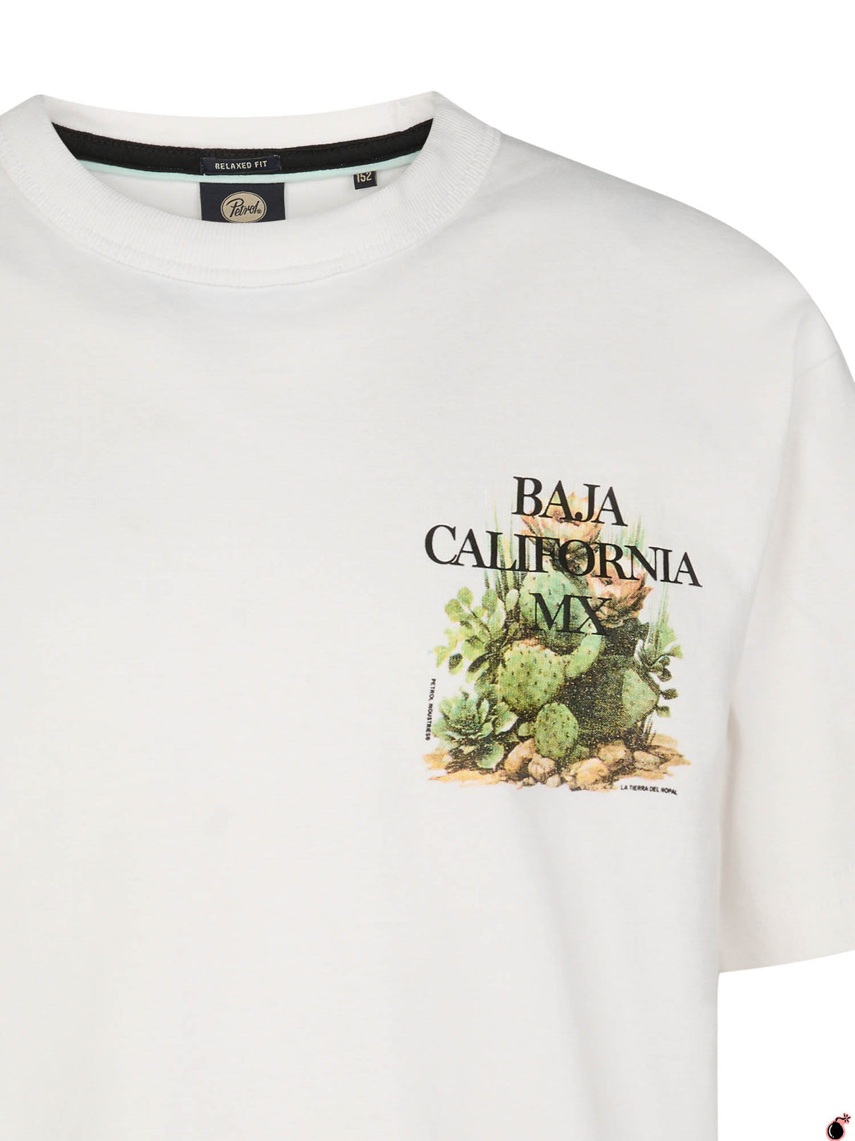 T shirt Everett Blanc